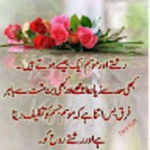 Meet your Posher, Zahra